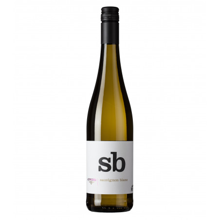 2023 Sauvignon Blanc Thomas Hensel Aufwind